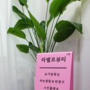 퍼플헤어샵 - 북구 만덕대로102번길 22 | 퍼플헤어샵