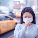 미세먼지 걱정되면 삼겹살보다 ‘이 음식’ 폐 기능 저하 완화. 이미지