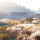 남천교 - 고성군 | 남천교