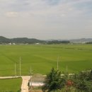 마음에고향 이미지