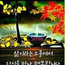 보라어패럴