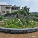 연풍1리 이미지