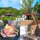 힐링캠프A | 강원도 태백 숙소 구문소 힐링캠프 글램핑 캠핑장 별구경
