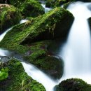 청담행정사사무소 이미지