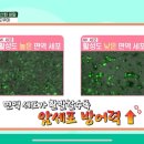 세포상회