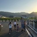 코이스테이 이미지