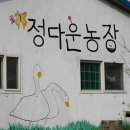 정다운농장 Daum카페