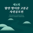 함안 말이산고분군 네이버블로그