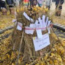 우리들어린이집 이미지