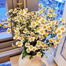 해인약국 이미지