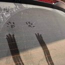 한국라이프 이미지