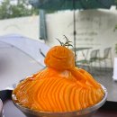 카페셀 | 대전 소제동카페 '소제루셀로' 생망고빙수 내돈내산 후기