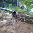 순양농장 이미지