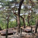 도심숲