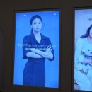 명지애견유치원호텔 댕즈니랜드 본점 | 맘바이서면본점 가족같은 마음으로 돌봐주는 명지애견호텔 이용후기입니다!