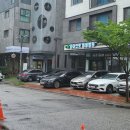 착한애견분양강아지 수원광교본점 이미지