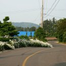 해림목장 이미지