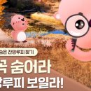 (유)새만금 축산 이미지