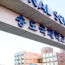 국제데코