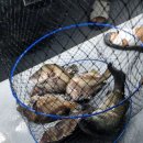 도깨비낚시터 이미지