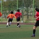 하남체육공원 이미지