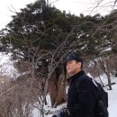 유일사 입구 이미지
