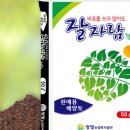 참빛농원