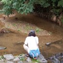 아름토목 | 龍仁旅行(147): 돌봉산(突峰山) · 용인중앙시장