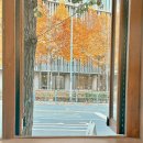 용산-347 | 신용산역 카페 헬로 시드니 베이커리 서울 빵지순례 추천