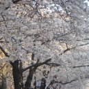 창원대로 이미지