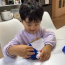 스콜피온 | 자동차변신로봇 듀얼몬스터카 장난감 후기(스콜피온, 라이칸, 라이노)