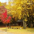 파주이이유적지 가을풍경 3 이미지