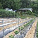 반곡우체국 이미지