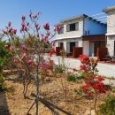 돌담마루 이미지