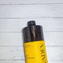 건성 | 바디브 미오건성비듬샴푸 추천 후기