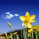 우리왕성교회앞 이미지