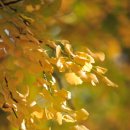 상은유치원 이미지