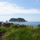 천국염소 이미지