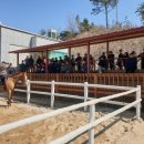 홍성군 승마장 이미지