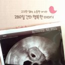 뉴트리코어 해운대점 | Hello! 다시 만나게 된 우리 축복이♡