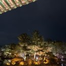 신성반점 | 경주아이랑 동궁과월지 야경 눈 내리는 트리카페 룸펜 근처 맛집