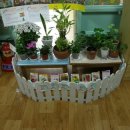 수정어린이집 이미지