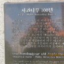 대구나무병원 이미지