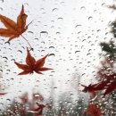 서촌본갈비 이미지