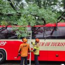 서천소방서-35 이미지