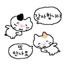 피다다이어트