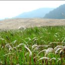 득량주유소 이미지