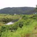 삼화휴게소 이미지