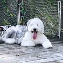 레이크 가든 이미지