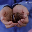 위미리 자미성 네이버블로그
